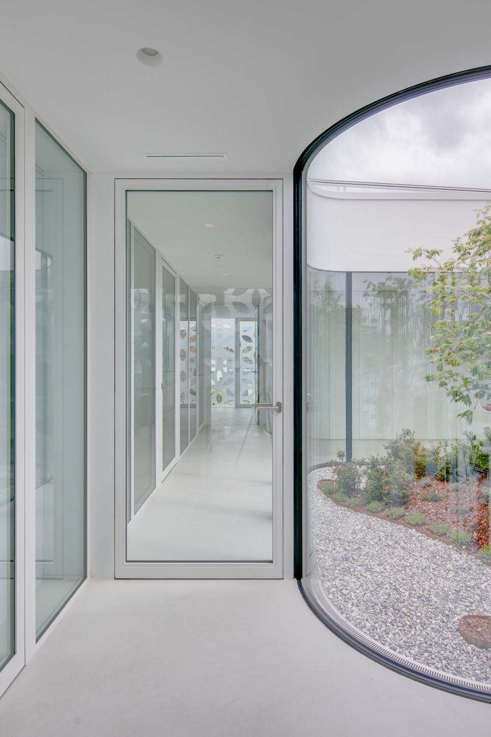 Interior glazed partitions beside a curved glass courtyard wall
